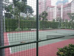 Country Esquire (D20), Condominium #109910962